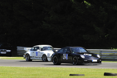 Bild-0053-PCC_S_2009_08_15_14_59_28_61_NIKON_D700