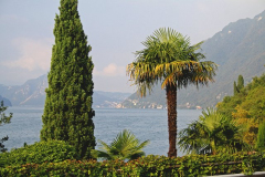 100905-Cayenne-Lugano-PC-Schwaben-1004-PcLife 002 Cay_2010.014.JPG