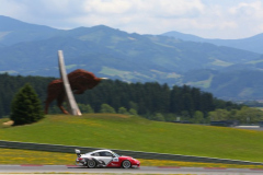 130713-PSC-Red-Bull-Ring-1303-PcLife 006 PSC313_SH1114.JPG