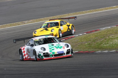 160709-PSC-Nuerburgring-1603-PcLife 049 PSC316_SH05134.JPG.JPG