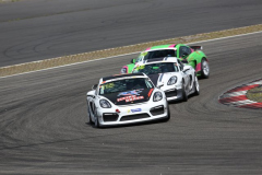 160709-PSC-Nuerburgring-1603-PcLife 050 PSC316_SH05182.JPG.JPG