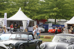 160805-Lufti-Treffen-Schloss-Dyck-PC-klassische-911-SuedWest-1603-PcLife 024 1J6C0520.JPG