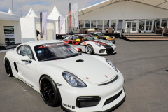 170715-WEC-mit-PSC-Nuerburgring-1703-PcLife 024 WEC417_JB05708_BU.JPG