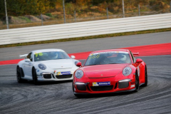 171021-PSC-Hockenheim-2-1704-PcLife 016 PSC617_04372BK_ES.JPG