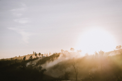 Bild-0217-Tag1_2023_11_23-09255