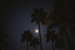 Bild-0334-Tag1_2023_11_23-1005978