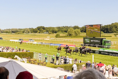 Bild-0004-3Baden_Galopp_Pferderennen19_IMG_8219