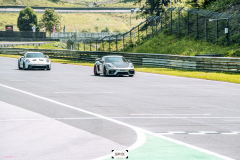 Bild-0028-Foto_16.06.25,_17_36_10_(5)