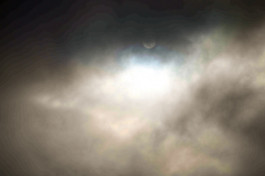 Bild-0164-DSC_2158 Bild-0164-DSC_2158